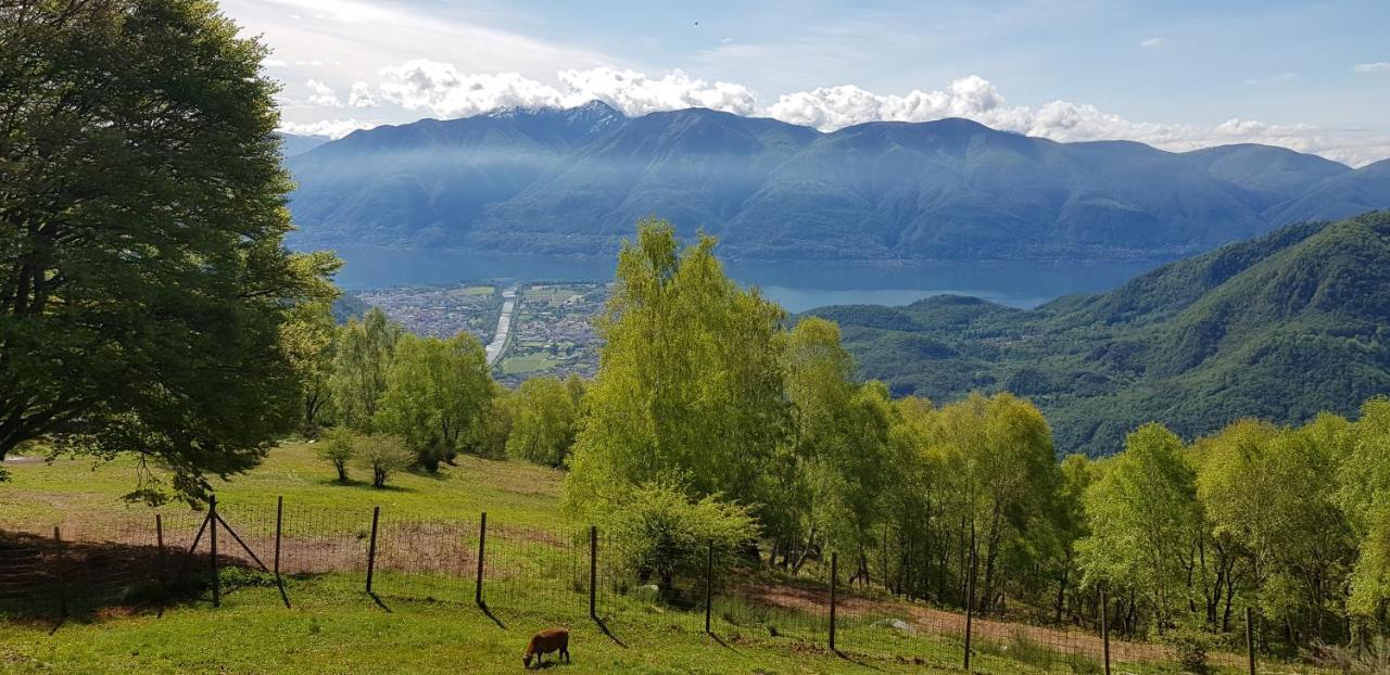 Verscio Appartamento Di Vacanza Casa Leoni المظهر الخارجي الصورة
